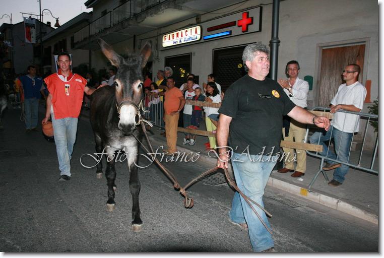 Sei già all'ultima foto